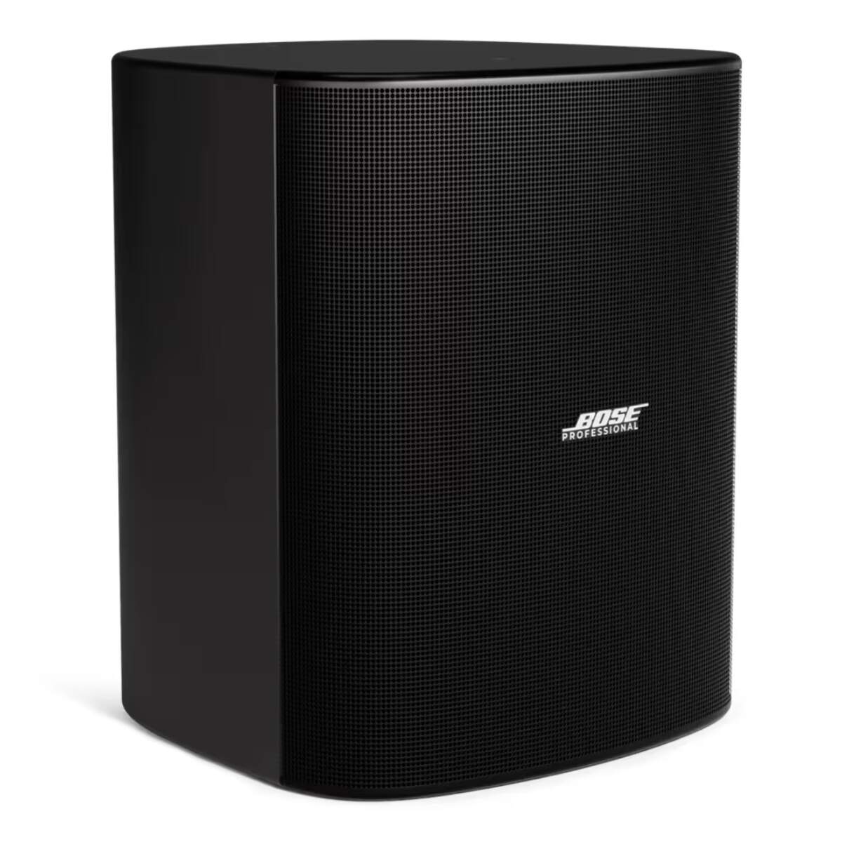 Product Image for Bose DesignMax DM12SE