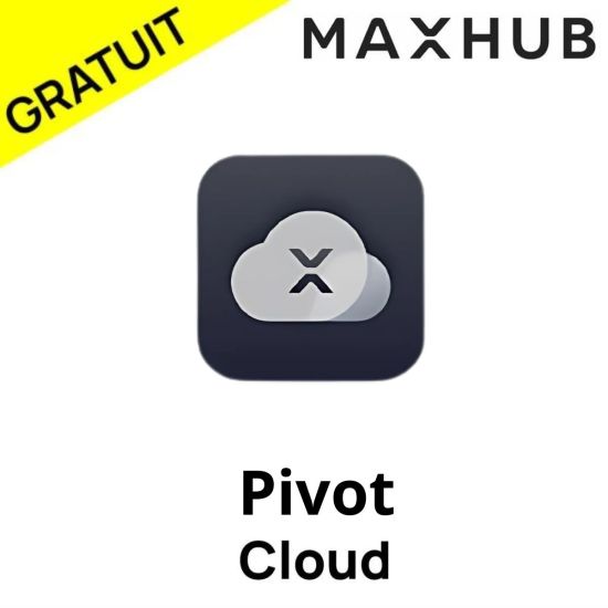 maxhub pivot