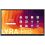 Newline Lyra Pro Lite 98 pulgadas