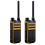 Pack de 2 Hytera AP525LF