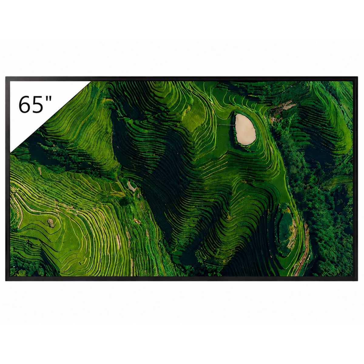 Product Image for Sony FW-65BZ35P - Pantallas Profesionales - Pantalla Señalización Digital