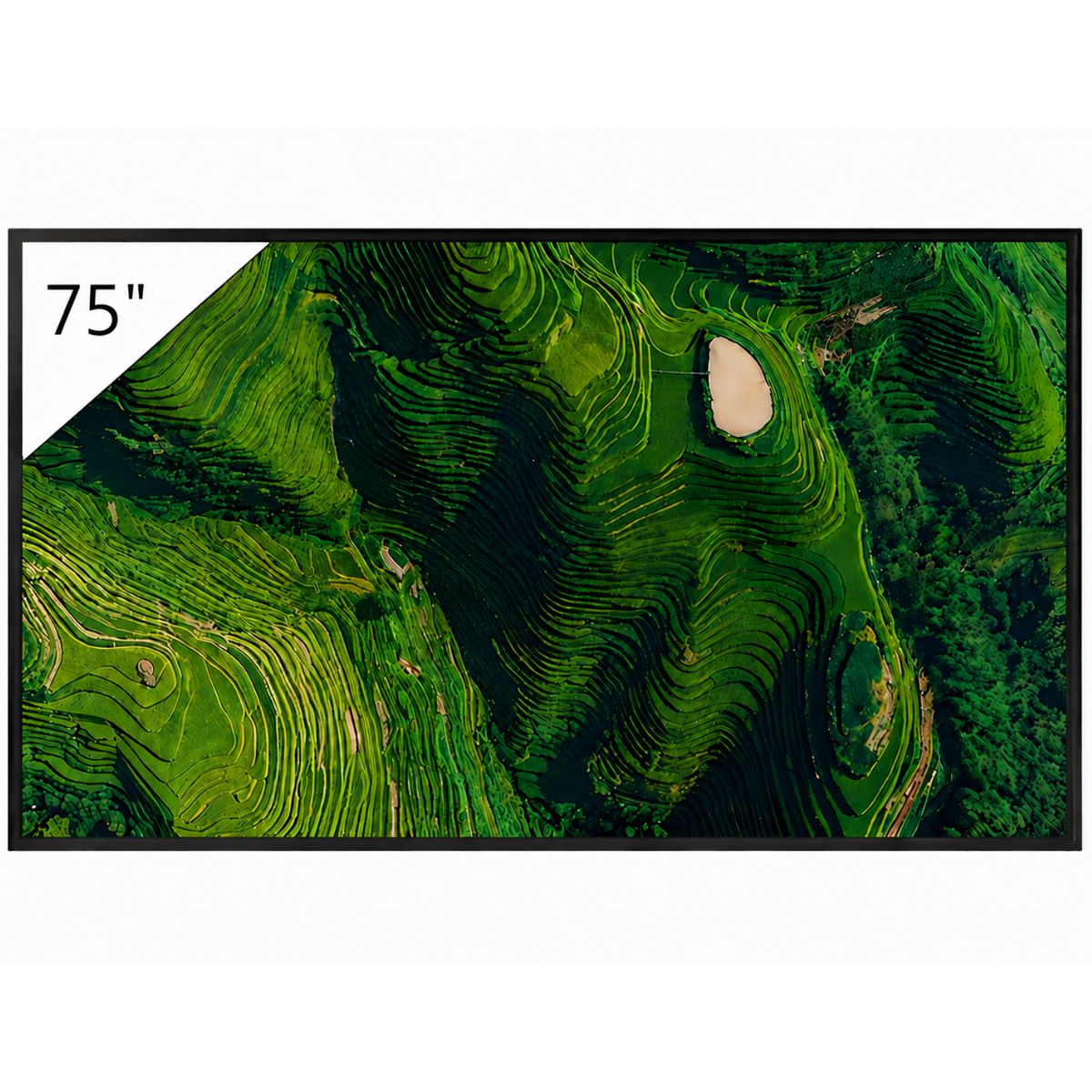 Product Image for Sony FW-75BZ35P - Pantallas Profesionales - Pantalla Señalización Digital