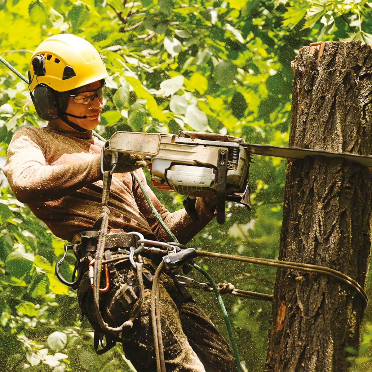 Pack Vokkero Compak 2 Terminales Maletín